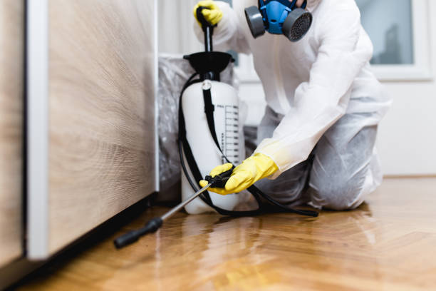 Best Wildlife Control Services  in Crooksville, OH