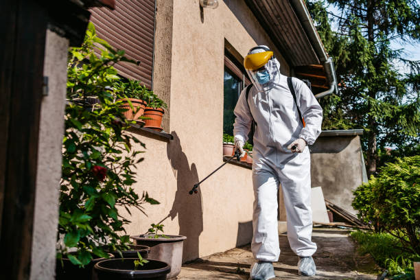 Best Insect Control  in Crooksville, OH