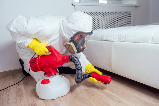 Best Rat Extermination Near Me  in Crooksville, OH