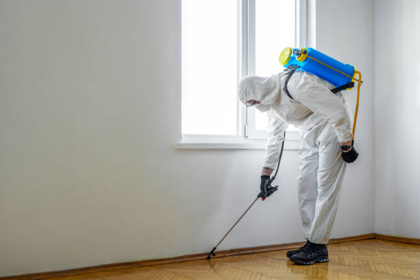 Best Cockroach Control Services  in Crooksville, OH