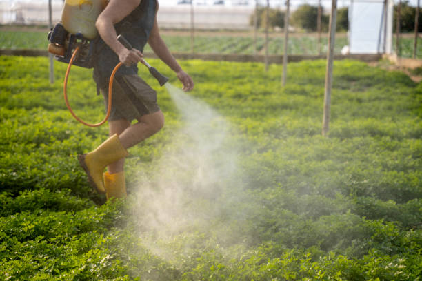 Best Commercial Pest Control Services  in Crooksville, OH