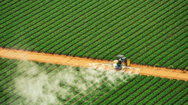 Best Pest Control for Businesses  in Crooksville, OH