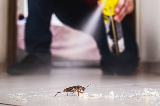 Best Pest Inspection Near Me  in Crooksville, OH